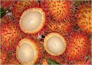 Rambutan (Chôm chôm)